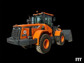 Cargadora de ruedas Doosan DL250-5 - 2